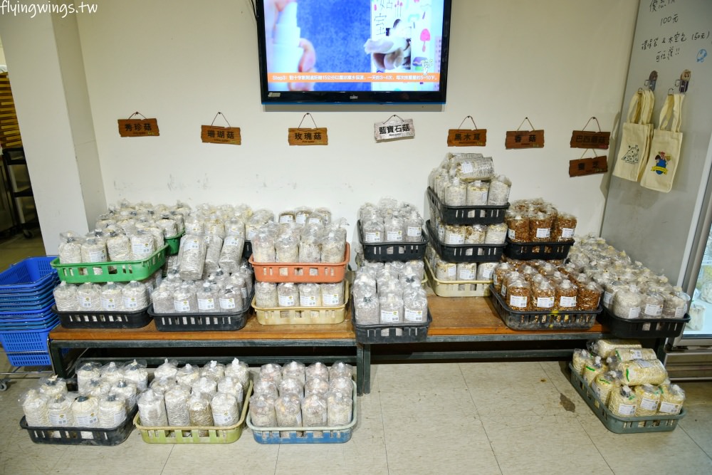 南投親子景點┃豐年靈芝菇類生態農場。2.0版菇菇農場,散客免入園費,採菇、披薩DIY、彩繪一次來! - 第85張圖 南投親子景點┃豐年靈芝菇類生態農場。2.0版菇菇農場,散客免入園費,採菇、披薩DIY、彩繪一次來!
