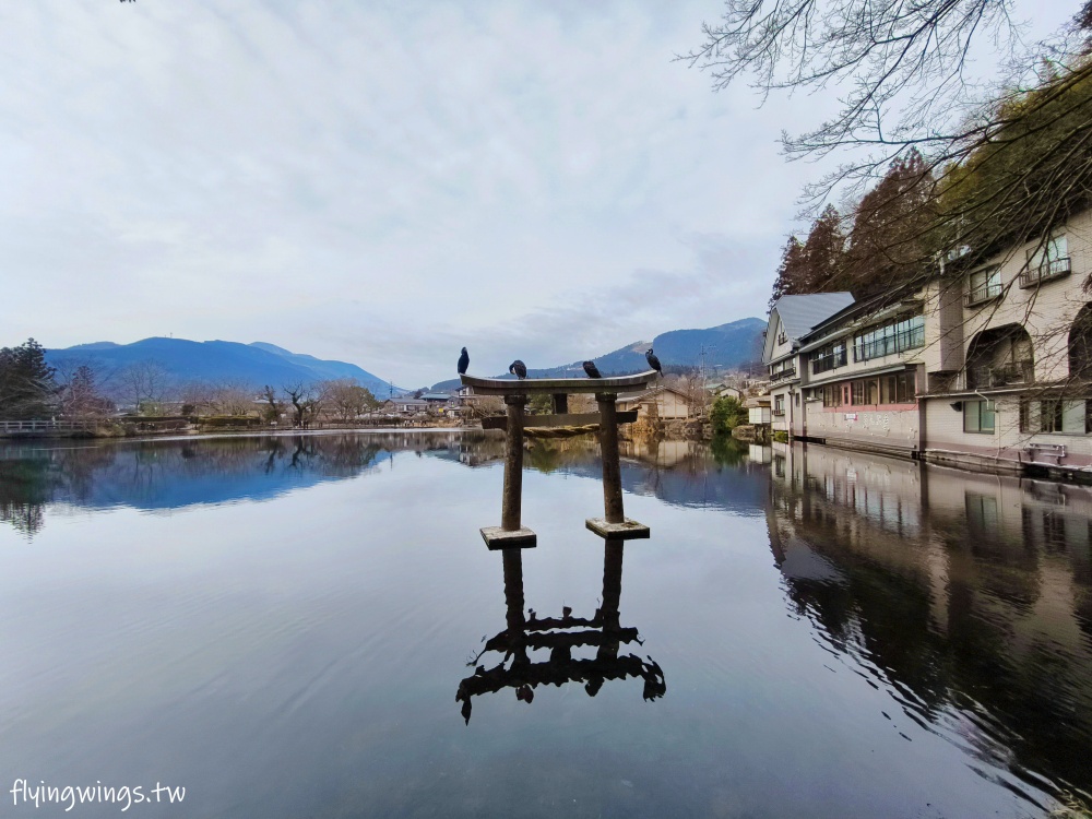 2024北九州自由行。金鱗湖。由布院必遊景點,還有夢幻童話小鎮,逛一下午也不為過! - 第59張圖 2024北九州自由行。金鱗湖。由布院必遊景點,還有夢幻童話小鎮,逛一下午也不為過!