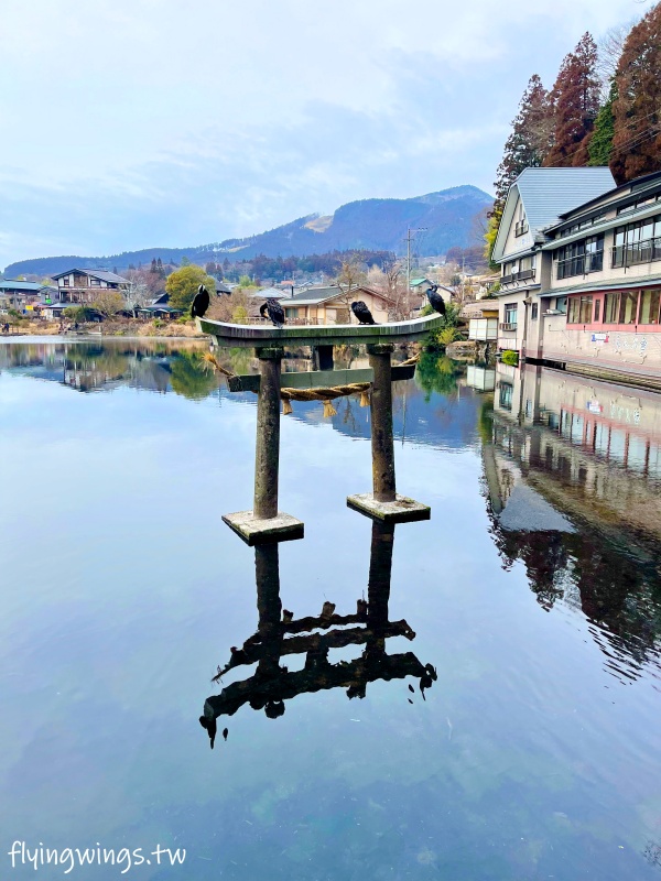 2024北九州自由行。金鱗湖。由布院必遊景點,還有夢幻童話小鎮,逛一下午也不為過! - 第58張圖 2024北九州自由行。金鱗湖。由布院必遊景點,還有夢幻童話小鎮,逛一下午也不為過!
