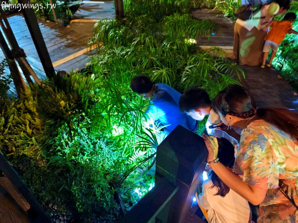 台中豪華露營┃蟬說：山中靜靜。豪華露營，一卡皮箱就可以GO!2024年下半年度住宿開賣囉!