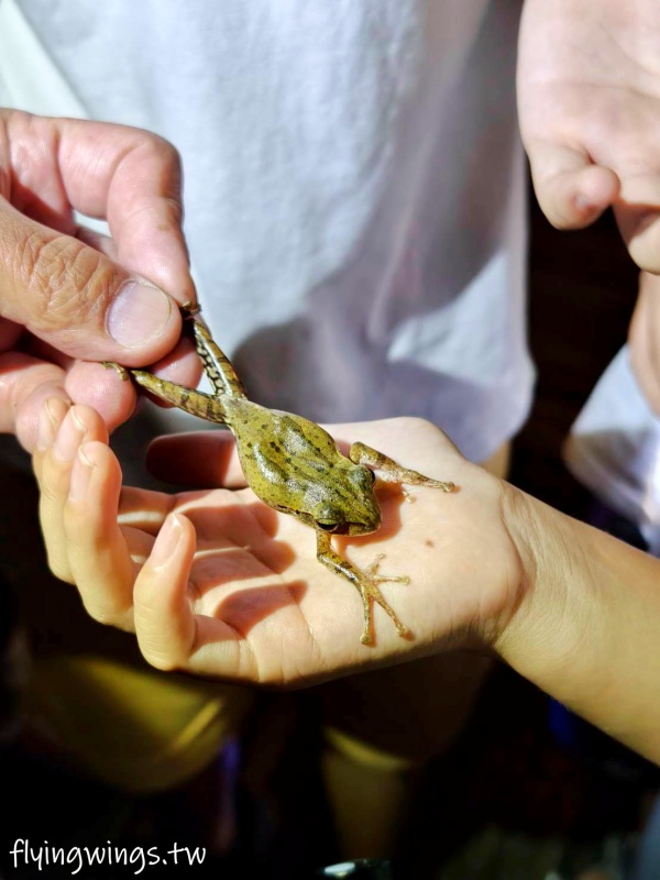台中豪華露營┃蟬說：山中靜靜。豪華露營，一卡皮箱就可以GO!2024年下半年度住宿開賣囉!