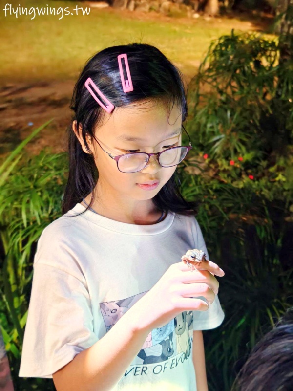 台中豪華露營┃蟬說：山中靜靜。豪華露營，一卡皮箱就可以GO!2024年下半年度住宿開賣囉!