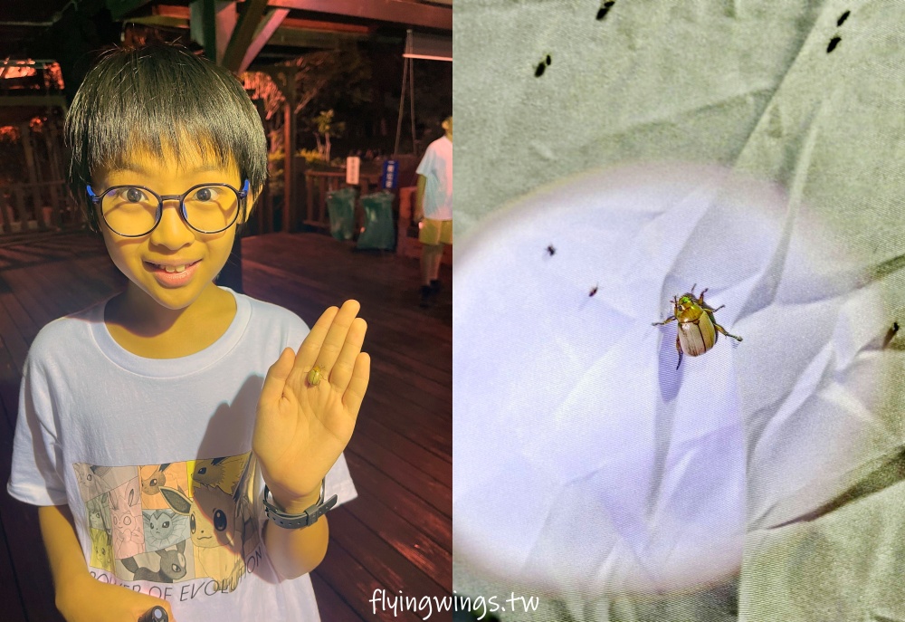 台中豪華露營┃蟬說：山中靜靜。豪華露營，一卡皮箱就可以GO!2024年下半年度住宿開賣囉!