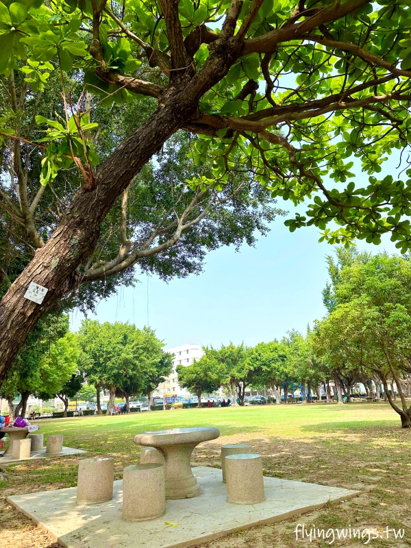 彰化親子┃金馬公園。彰化首座以編織網為主題的特色公園,小而美小而巧,還有很多小松鼠作陪! - 第21張圖 彰化親子┃金馬公園。彰化首座以編織網為主題的特色公園,小而美小而巧,還有很多小松鼠作陪!