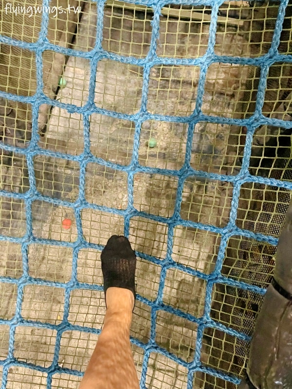 苗栗親子┃尚順育樂天地。離交流道5分鐘車程，全台最大全室內主題樂園，不管晴天雨天都好好玩!!