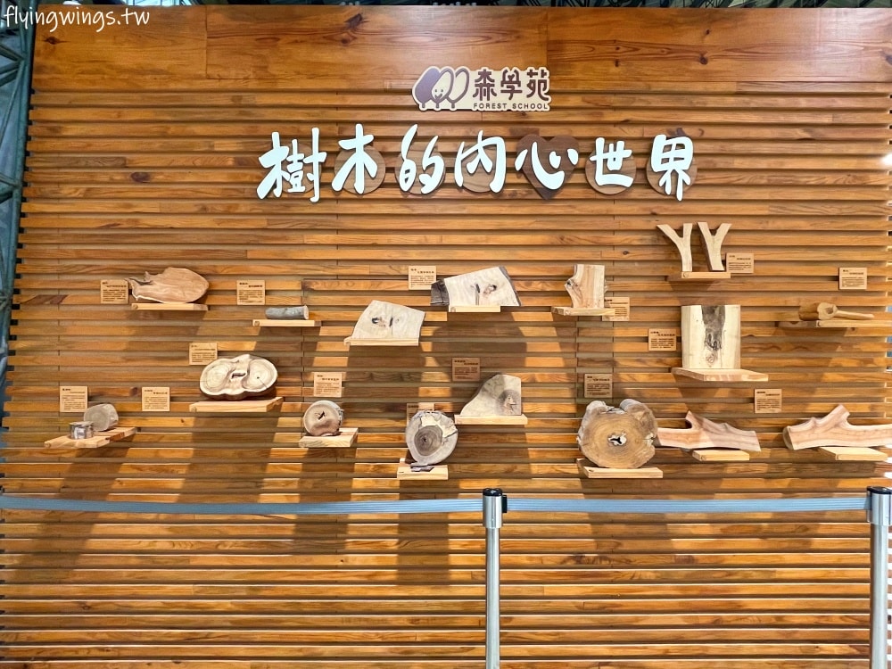 宜蘭室內免費景點┃森學苑。免費停車、免門票，室內景點好適合現在啊!!