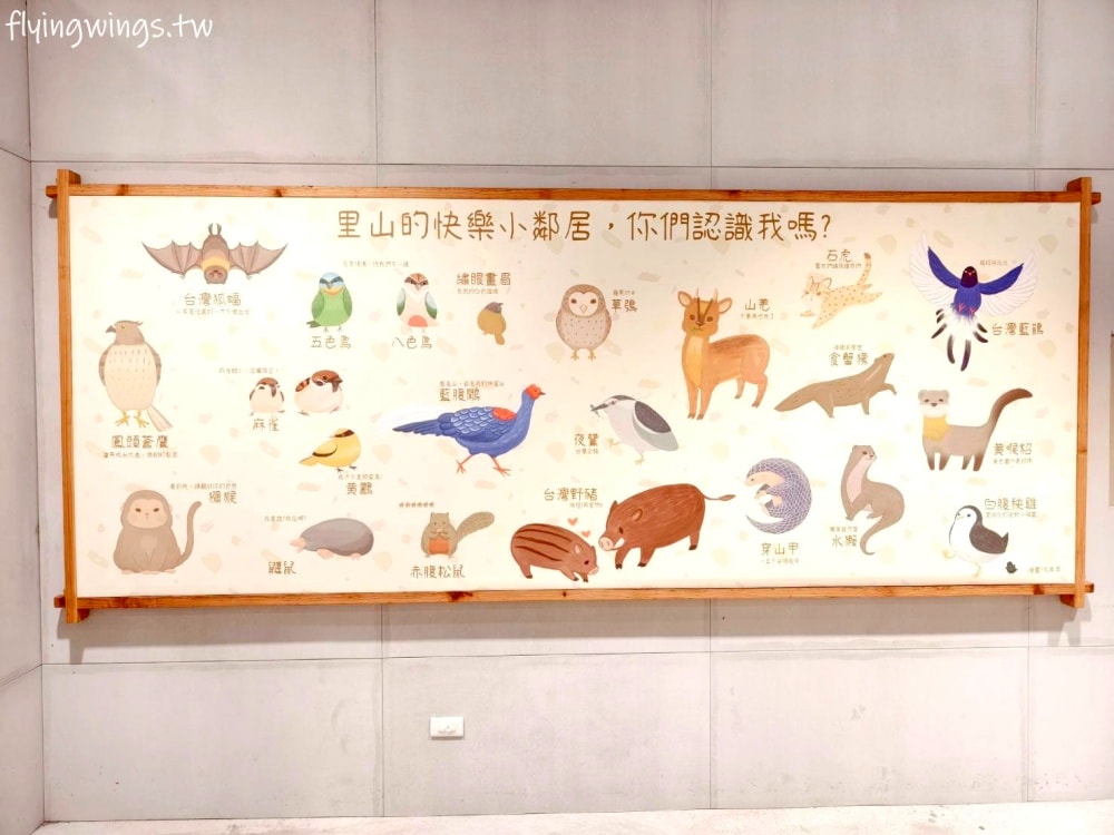 宜蘭室內免費景點┃森學苑。免費停車、免門票，室內景點好適合現在啊!!