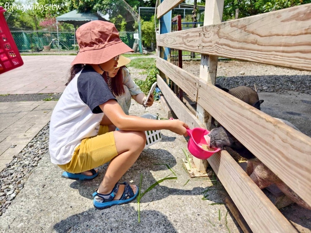 宜蘭冬山┃宜農牧場。乾淨沒什麼異味,有多種小動物可以餵食,寵物友善(需繫繩),門票含飲料與牧草飼料 - 第19張圖 宜蘭冬山┃宜農牧場。乾淨沒什麼異味,有多種小動物可以餵食,寵物友善(需繫繩),門票含飲料與牧草飼料