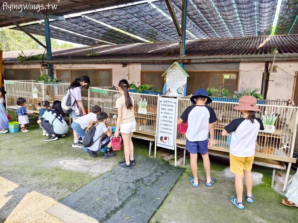 宜蘭冬山┃宜農牧場。乾淨沒什麼異味,有多種小動物可以餵食,寵物友善(需繫繩),門票含飲料與牧草飼料 - 第21張圖 宜蘭冬山┃宜農牧場。乾淨沒什麼異味,有多種小動物可以餵食,寵物友善(需繫繩),門票含飲料與牧草飼料