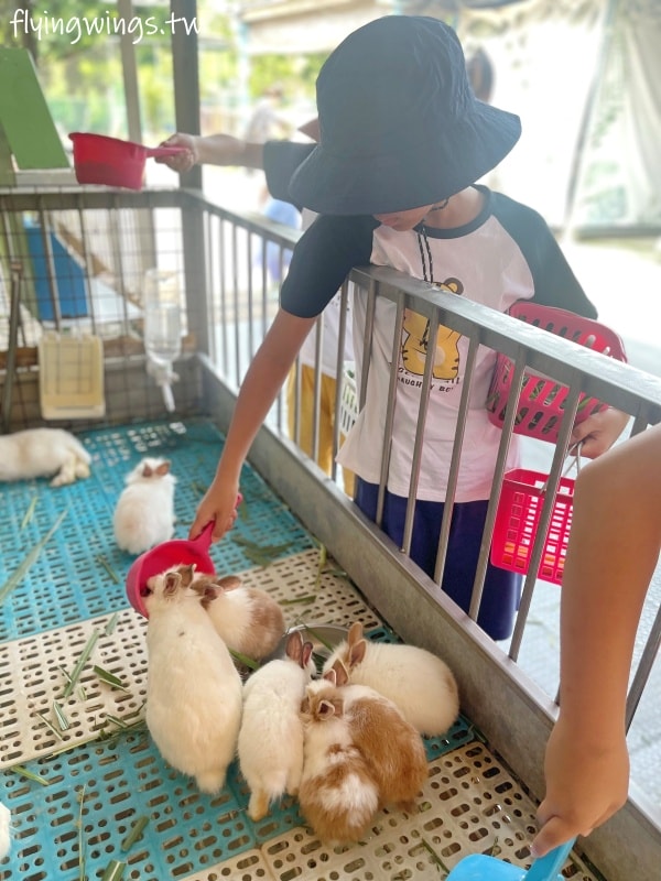 宜蘭冬山┃宜農牧場。乾淨沒什麼異味,有多種小動物可以餵食,寵物友善(需繫繩),門票含飲料與牧草飼料 - 第28張圖 宜蘭冬山┃宜農牧場。乾淨沒什麼異味,有多種小動物可以餵食,寵物友善(需繫繩),門票含飲料與牧草飼料
