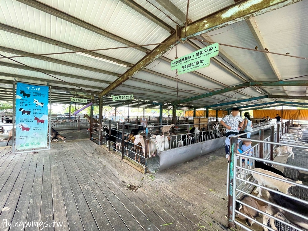 宜蘭冬山┃宜農牧場。乾淨沒什麼異味,有多種小動物可以餵食,寵物友善(需繫繩),門票含飲料與牧草飼料 - 第31張圖 宜蘭冬山┃宜農牧場。乾淨沒什麼異味,有多種小動物可以餵食,寵物友善(需繫繩),門票含飲料與牧草飼料