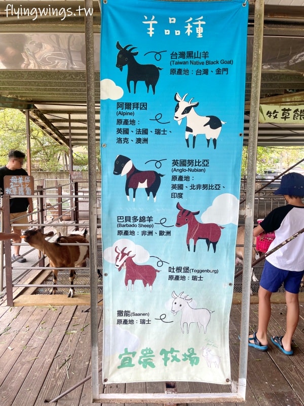 宜蘭冬山┃宜農牧場。乾淨沒什麼異味,有多種小動物可以餵食,寵物友善(需繫繩),門票含飲料與牧草飼料 - 第32張圖 宜蘭冬山┃宜農牧場。乾淨沒什麼異味,有多種小動物可以餵食,寵物友善(需繫繩),門票含飲料與牧草飼料