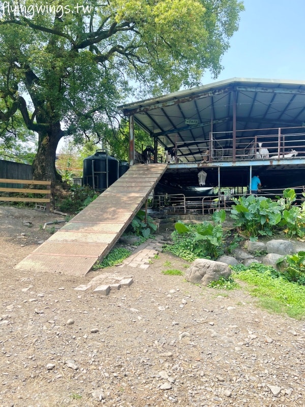宜蘭冬山┃宜農牧場。乾淨沒什麼異味,有多種小動物可以餵食,寵物友善(需繫繩),門票含飲料與牧草飼料 - 第41張圖 宜蘭冬山┃宜農牧場。乾淨沒什麼異味,有多種小動物可以餵食,寵物友善(需繫繩),門票含飲料與牧草飼料