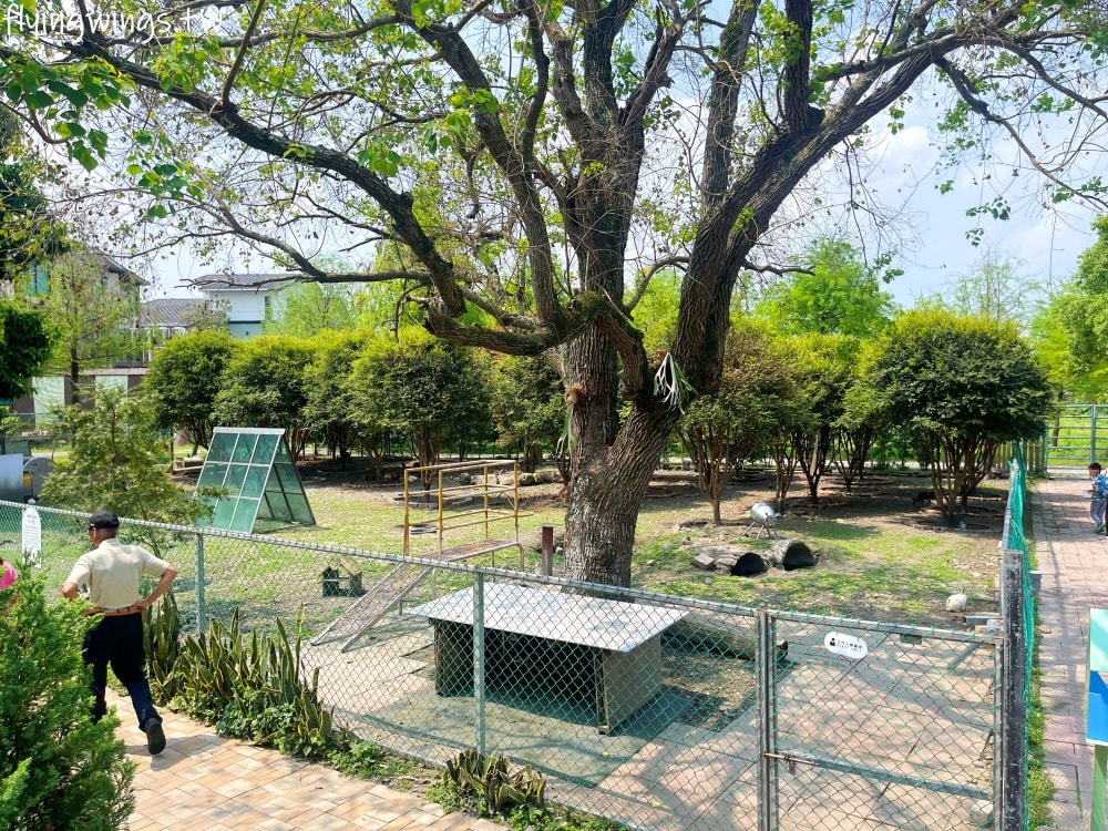 宜蘭冬山┃宜農牧場。乾淨沒什麼異味,有多種小動物可以餵食,寵物友善(需繫繩),門票含飲料與牧草飼料 - 第42張圖 宜蘭冬山┃宜農牧場。乾淨沒什麼異味,有多種小動物可以餵食,寵物友善(需繫繩),門票含飲料與牧草飼料