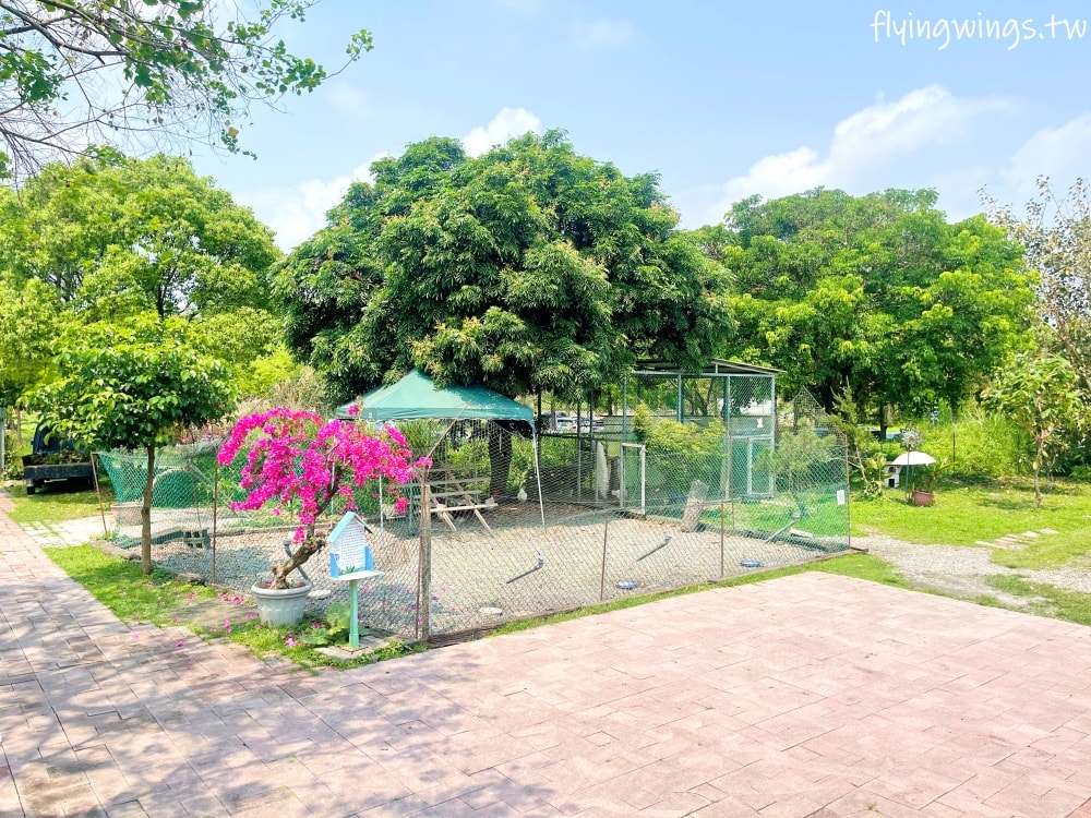 宜蘭冬山┃宜農牧場。乾淨沒什麼異味,有多種小動物可以餵食,寵物友善(需繫繩),門票含飲料與牧草飼料 - 第43張圖 宜蘭冬山┃宜農牧場。乾淨沒什麼異味,有多種小動物可以餵食,寵物友善(需繫繩),門票含飲料與牧草飼料
