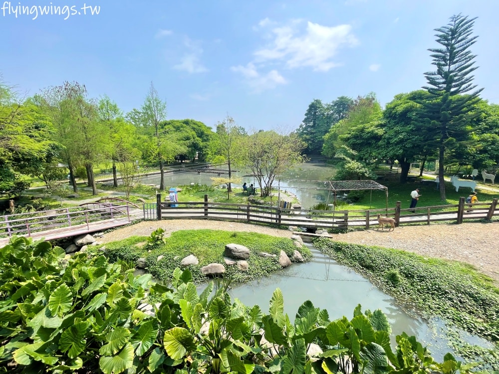 宜蘭冬山┃宜農牧場。乾淨沒什麼異味,有多種小動物可以餵食,寵物友善(需繫繩),門票含飲料與牧草飼料 - 第44張圖 宜蘭冬山┃宜農牧場。乾淨沒什麼異味,有多種小動物可以餵食,寵物友善(需繫繩),門票含飲料與牧草飼料
