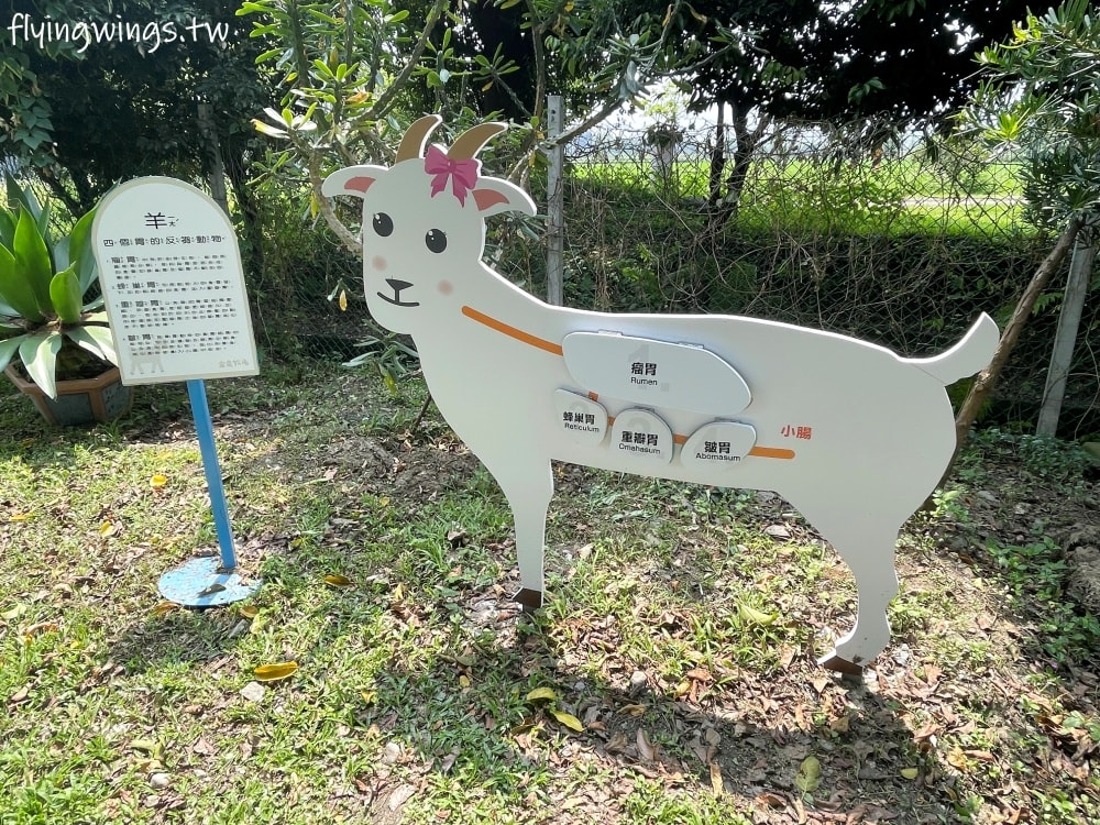 宜蘭冬山┃宜農牧場。乾淨沒什麼異味,有多種小動物可以餵食,寵物友善(需繫繩),門票含飲料與牧草飼料 - 第54張圖 宜蘭冬山┃宜農牧場。乾淨沒什麼異味,有多種小動物可以餵食,寵物友善(需繫繩),門票含飲料與牧草飼料