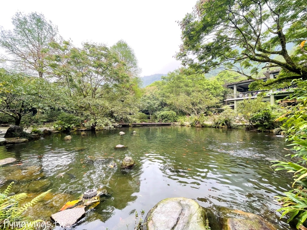 宜蘭冬山┃紫森林-三富休閒農場。清水模設計房間好舒適,還可以餵魚抓蝦,看豐富的夜間生態導覽 - 第15張圖 宜蘭冬山┃紫森林-三富休閒農場。清水模設計房間好舒適,還可以餵魚抓蝦,看豐富的夜間生態導覽