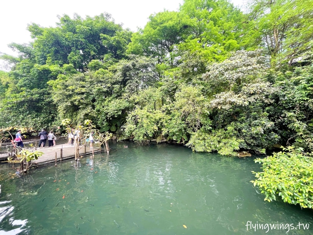 宜蘭冬山┃紫森林-三富休閒農場。清水模設計房間好舒適,還可以餵魚抓蝦,看豐富的夜間生態導覽 - 第18張圖 宜蘭冬山┃紫森林-三富休閒農場。清水模設計房間好舒適,還可以餵魚抓蝦,看豐富的夜間生態導覽