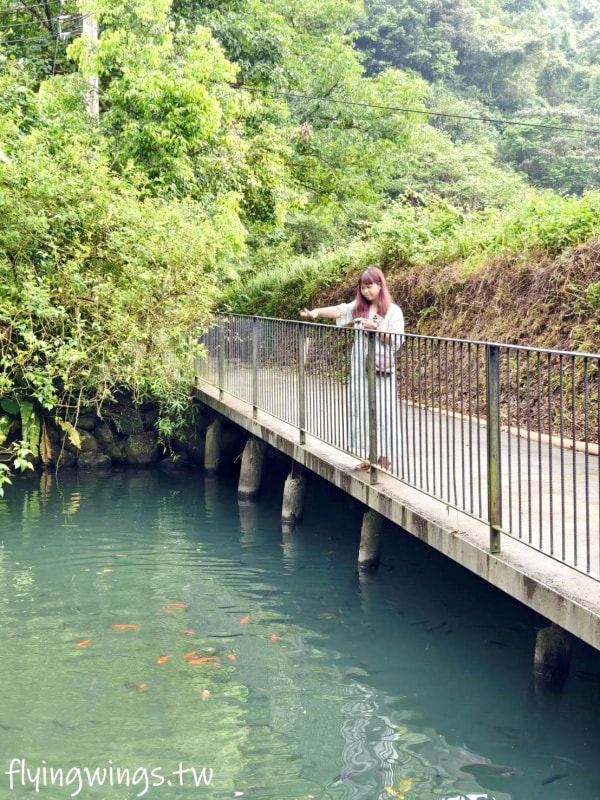 宜蘭冬山┃紫森林-三富休閒農場。清水模設計房間好舒適,還可以餵魚抓蝦,看豐富的夜間生態導覽 - 第21張圖 宜蘭冬山┃紫森林-三富休閒農場。清水模設計房間好舒適,還可以餵魚抓蝦,看豐富的夜間生態導覽