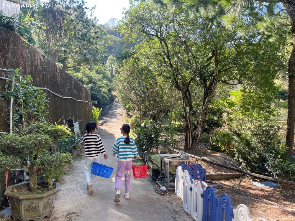 大坑柑橘┃東昇柑橘觀光果園。入園費200元可抵100元,園區內任您橘子吃到飽,通通不用另外加錢!! - 第10張圖 大坑柑橘┃東昇柑橘觀光果園。入園費200元可抵100元,園區內任您橘子吃到飽,通通不用另外加錢!!