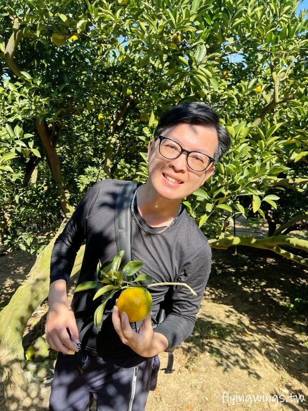 大坑柑橘┃東昇柑橘觀光果園。入園費200元可抵100元,園區內任您橘子吃到飽,通通不用另外加錢!! - 第16張圖 大坑柑橘┃東昇柑橘觀光果園。入園費200元可抵100元,園區內任您橘子吃到飽,通通不用另外加錢!!
