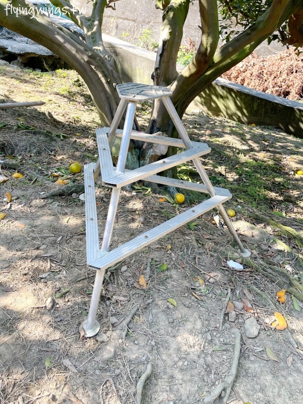 大坑柑橘┃東昇柑橘觀光果園。入園費200元可抵100元,園區內任您橘子吃到飽,通通不用另外加錢!! - 第21張圖 大坑柑橘┃東昇柑橘觀光果園。入園費200元可抵100元,園區內任您橘子吃到飽,通通不用另外加錢!!