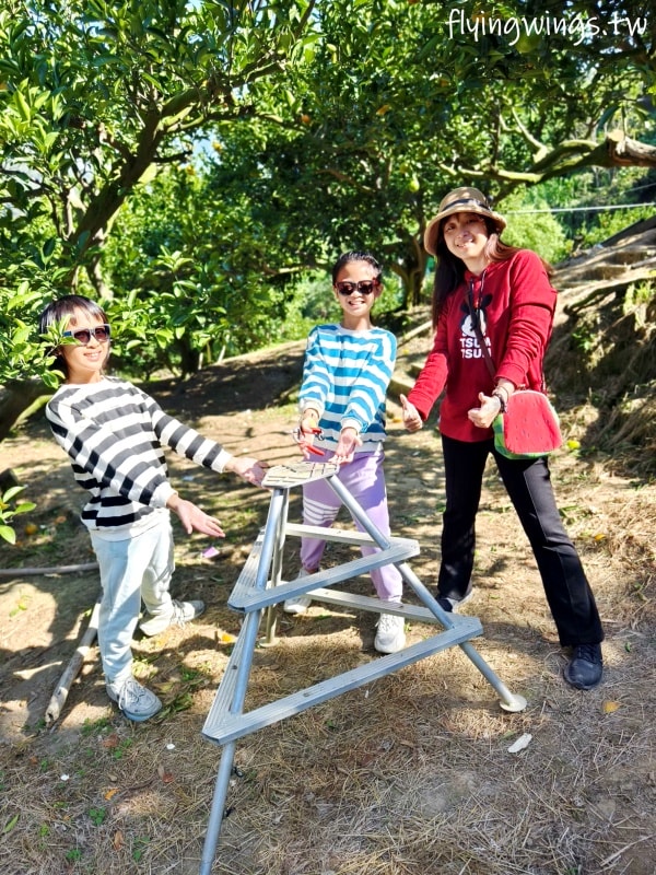 大坑柑橘┃東昇柑橘觀光果園。入園費200元可抵100元,園區內任您橘子吃到飽,通通不用另外加錢!! - 第23張圖 大坑柑橘┃東昇柑橘觀光果園。入園費200元可抵100元,園區內任您橘子吃到飽,通通不用另外加錢!!