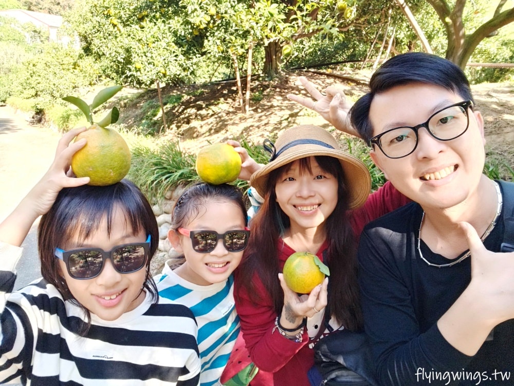 大坑柑橘┃東昇柑橘觀光果園。入園費200元可抵100元,園區內任您橘子吃到飽,通通不用另外加錢!! - 第32張圖 大坑柑橘┃東昇柑橘觀光果園。入園費200元可抵100元,園區內任您橘子吃到飽,通通不用另外加錢!!