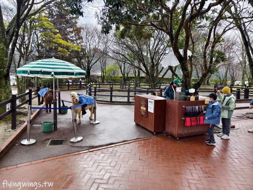 2024北九州自由行。九州自然動物公園。親手餵食肉食性動物，近距離接觸這實在太酷了!!