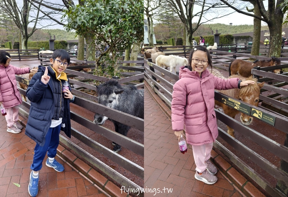 2024北九州自由行。九州自然動物公園。親手餵食肉食性動物，近距離接觸這實在太酷了!!