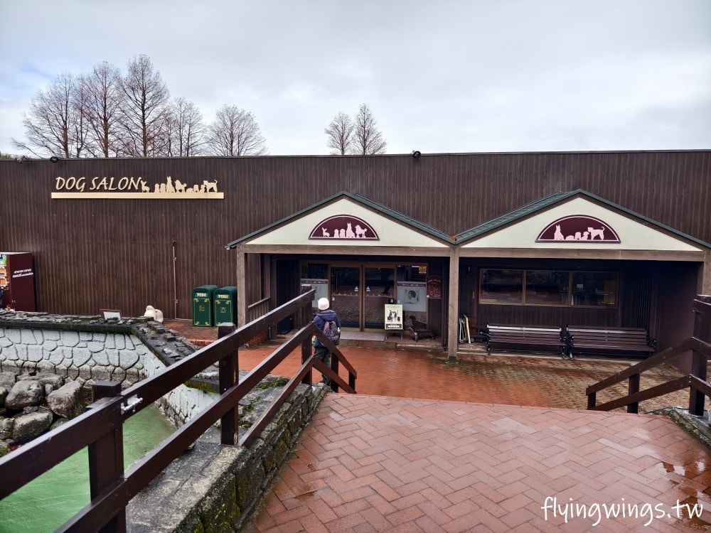 2024北九州自由行。九州自然動物公園。親手餵食肉食性動物，近距離接觸這實在太酷了!!