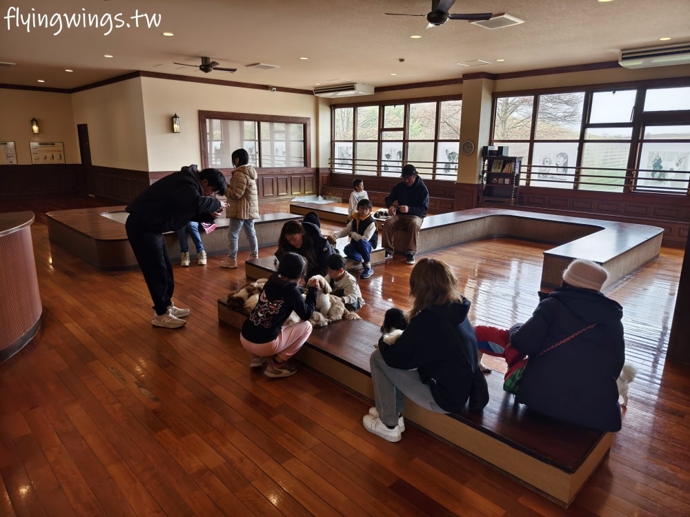 2024北九州自由行。九州自然動物公園。親手餵食肉食性動物，近距離接觸這實在太酷了!!
