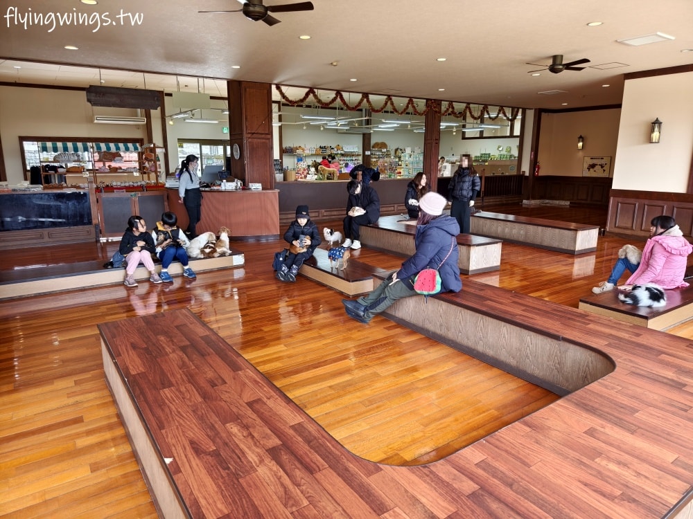 2024北九州自由行。九州自然動物公園。親手餵食肉食性動物，近距離接觸這實在太酷了!!