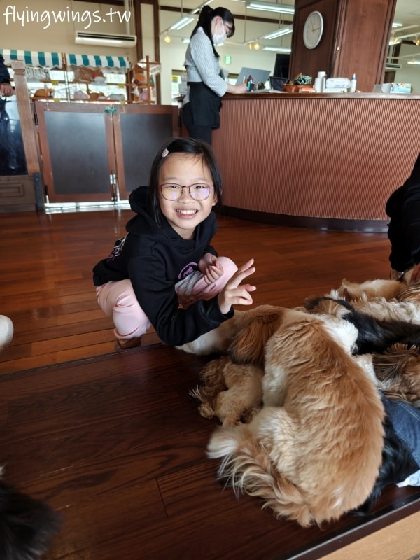2024北九州自由行。九州自然動物公園。親手餵食肉食性動物，近距離接觸這實在太酷了!!