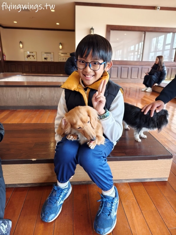 2024北九州自由行。九州自然動物公園。親手餵食肉食性動物，近距離接觸這實在太酷了!!