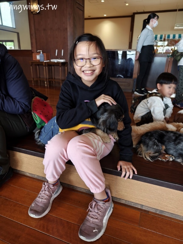 2024北九州自由行。九州自然動物公園。親手餵食肉食性動物，近距離接觸這實在太酷了!!