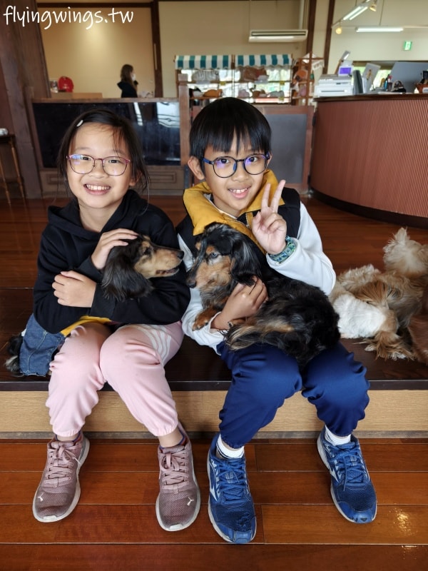 2024北九州自由行。九州自然動物公園。親手餵食肉食性動物，近距離接觸這實在太酷了!!