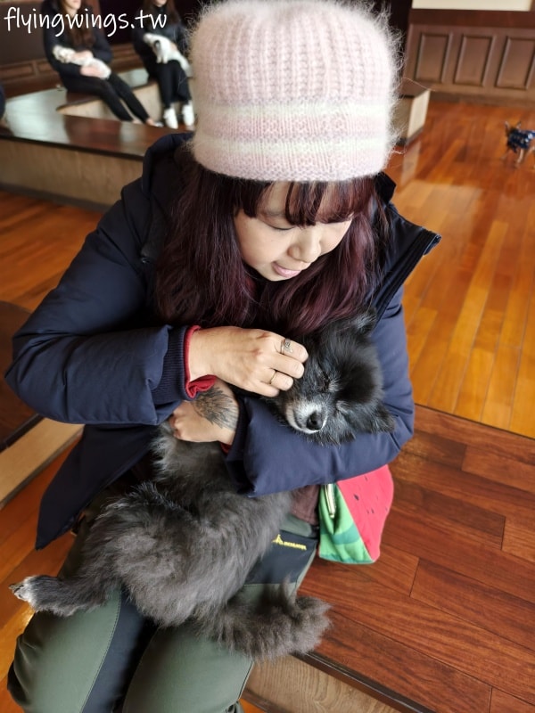 2024北九州自由行。九州自然動物公園。親手餵食肉食性動物，近距離接觸這實在太酷了!!