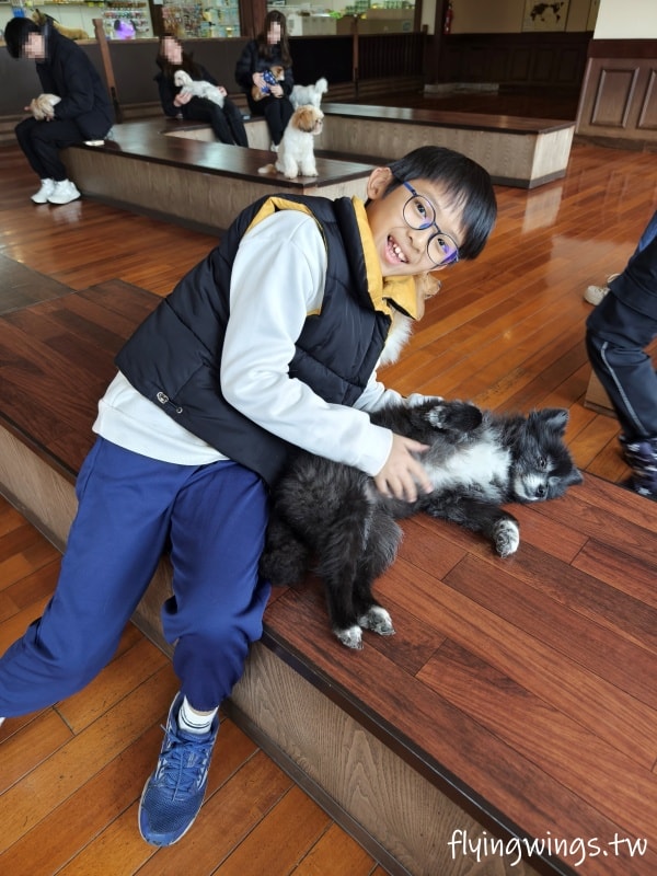 2024北九州自由行。九州自然動物公園。親手餵食肉食性動物，近距離接觸這實在太酷了!!