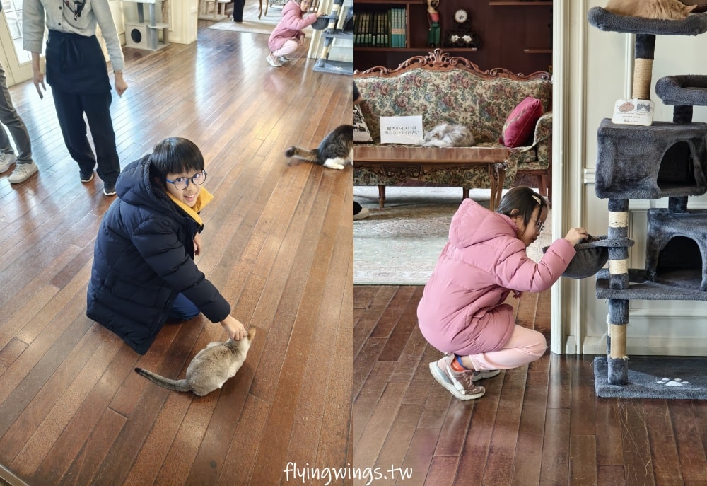 2024北九州自由行。九州自然動物公園。親手餵食肉食性動物，近距離接觸這實在太酷了!!