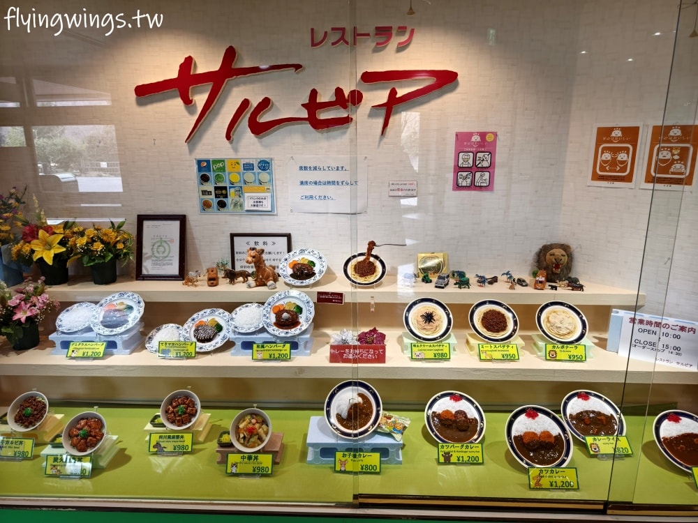 2024北九州自由行。九州自然動物公園。親手餵食肉食性動物，近距離接觸這實在太酷了!!
