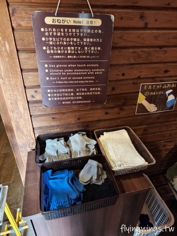 2024北九州自由行。九州自然動物公園。親手餵食肉食性動物，近距離接觸這實在太酷了!!