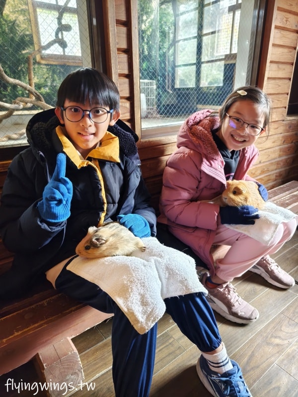 2024北九州自由行。九州自然動物公園。親手餵食肉食性動物，近距離接觸這實在太酷了!!