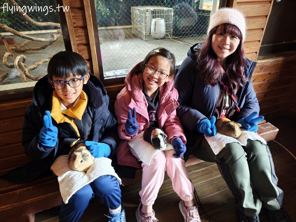 2024北九州自由行。九州自然動物公園。親手餵食肉食性動物，近距離接觸這實在太酷了!!