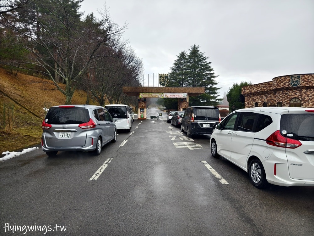 2024北九州自由行。九州自然動物公園。親手餵食肉食性動物，近距離接觸這實在太酷了!!