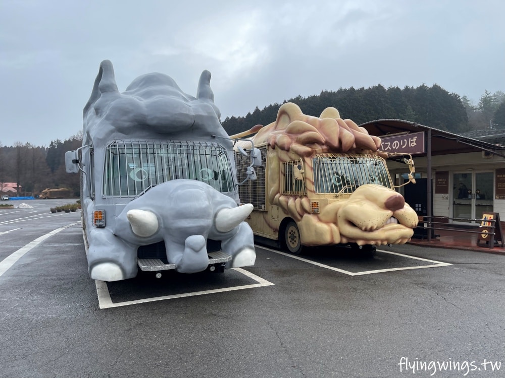 2024北九州自由行。九州自然動物公園。親手餵食肉食性動物，近距離接觸這實在太酷了!!