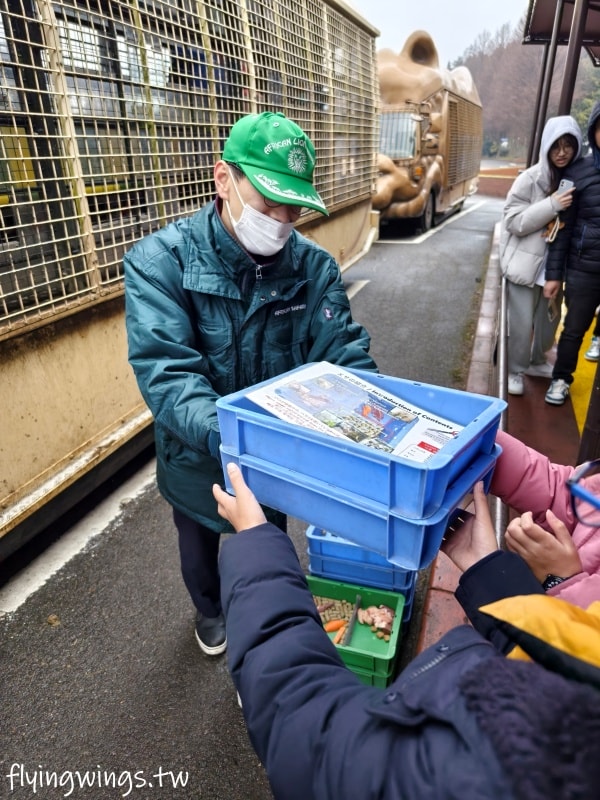 2024北九州自由行。九州自然動物公園。親手餵食肉食性動物，近距離接觸這實在太酷了!!