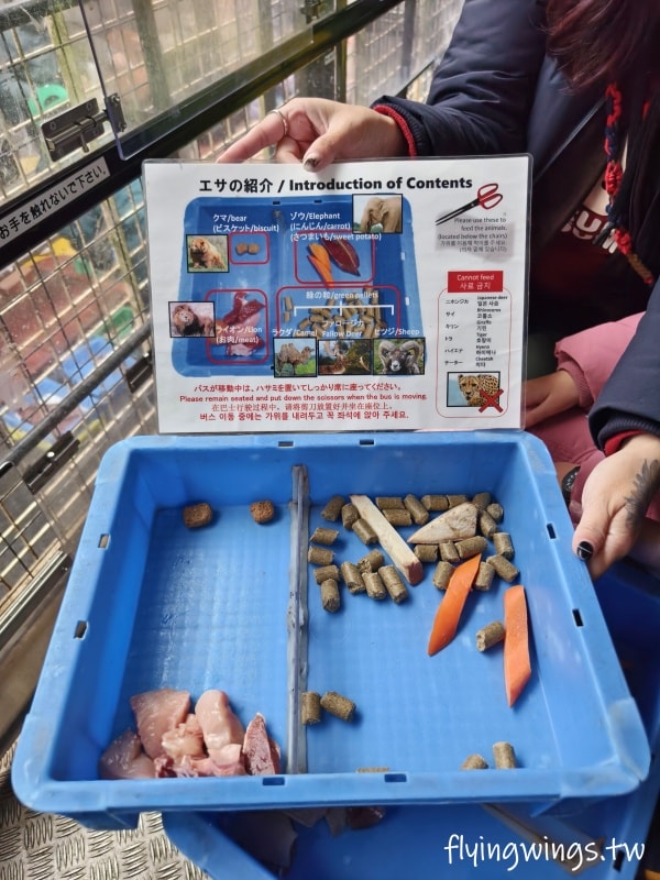 2024北九州自由行。九州自然動物公園。親手餵食肉食性動物，近距離接觸這實在太酷了!!
