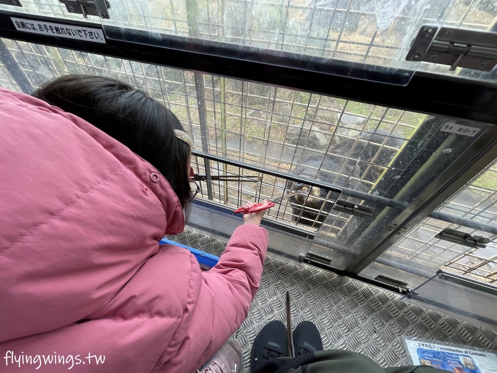 2024北九州自由行。九州自然動物公園。親手餵食肉食性動物，近距離接觸這實在太酷了!!